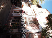 Enlarge photo 59