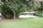 Enlarge photo 30