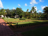 Enlarge photo 67