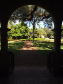 Enlarge photo 83