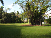 Enlarge photo 86