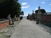 Enlarge photo 30