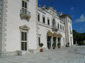 Enlarge photo 38