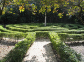 Enlarge photo 47