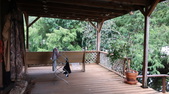 Enlarge photo 38