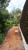 Enlarge photo 43