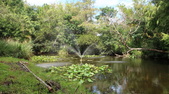 Enlarge photo 44
