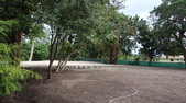 Enlarge photo 52