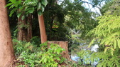 Enlarge photo 45