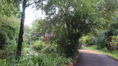 Enlarge photo 47