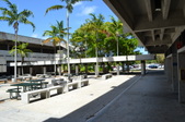 Enlarge photo 40