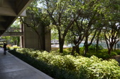 Enlarge photo 43