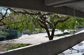 Enlarge photo 44
