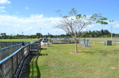 Enlarge photo 66