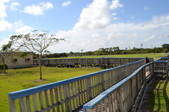 Enlarge photo 67