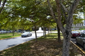 Enlarge photo 84