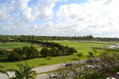 Enlarge photo 130