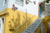 Enlarge photo 18