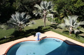 Enlarge photo 89