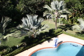 Enlarge photo 90
