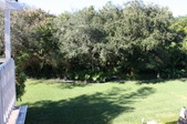 Enlarge photo 96