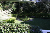 Enlarge photo 141