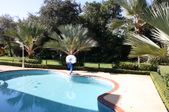 Enlarge photo 145