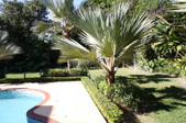 Enlarge photo 144