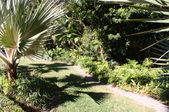 Enlarge photo 146