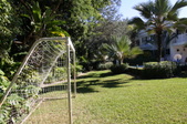 Enlarge photo 147
