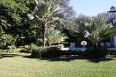 Enlarge photo 151