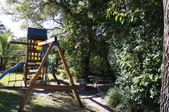 Enlarge photo 163