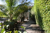 Enlarge photo 168