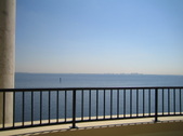 Enlarge photo 66