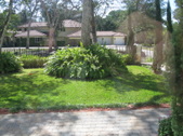 Enlarge photo 105