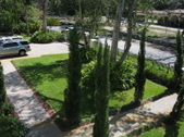 Enlarge photo 131