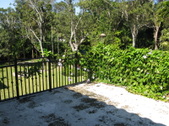 Enlarge photo 153