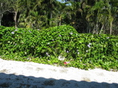 Enlarge photo 155