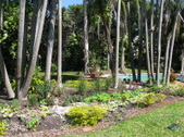 Enlarge photo 209