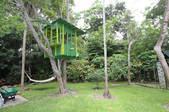 Enlarge photo 221