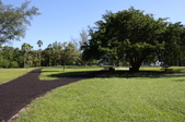 Enlarge photo 48