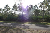 Enlarge photo 29