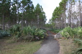 Enlarge photo 35