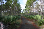 Enlarge photo 37