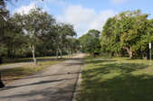 Enlarge photo 43