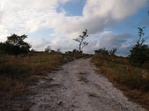 Enlarge photo 31