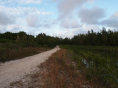 Enlarge photo 78