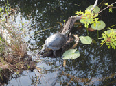 Enlarge photo 30