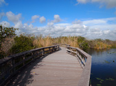 Enlarge photo 35