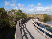 Enlarge photo 39